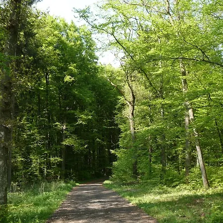 Eifelstate Gerolstein
