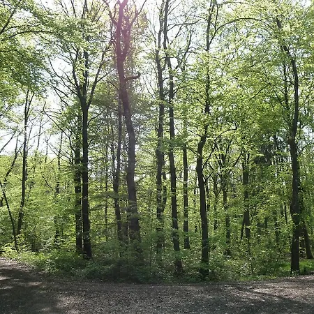 Eifelstate Vakantiehuis
