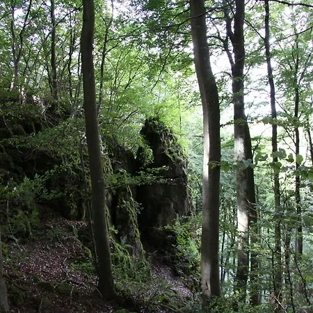 Eifelstate Vakantiehuis *